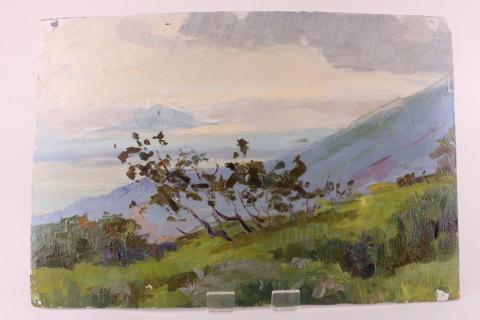 Картина из серии Природа. N3. Чурсин К.Н. Картон, масло. XX в.